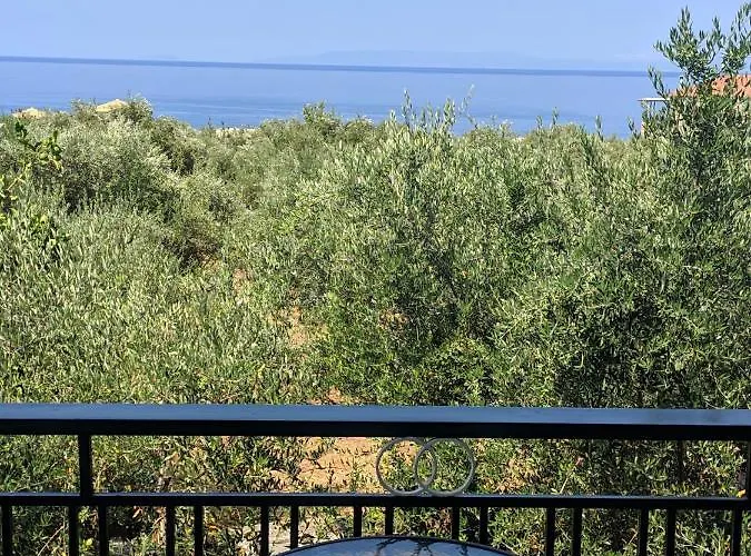 Oasis Apartment