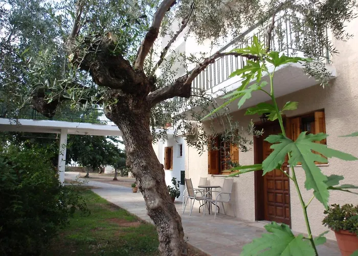Oasis Apartment