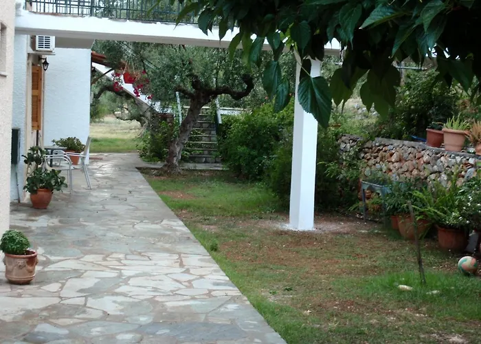 Oasis *