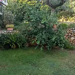 Oasis Appartement