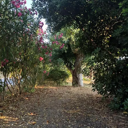 Oasis Апартаменты *