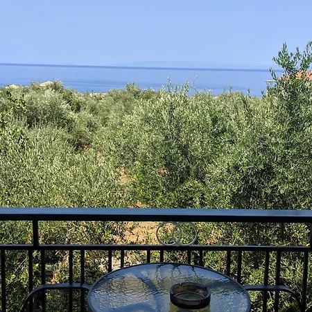 Oasis شقة