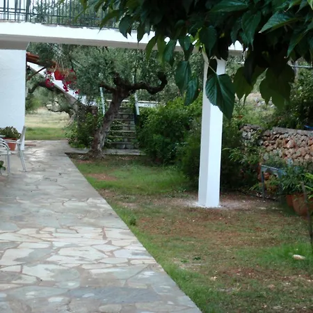 Oasis *